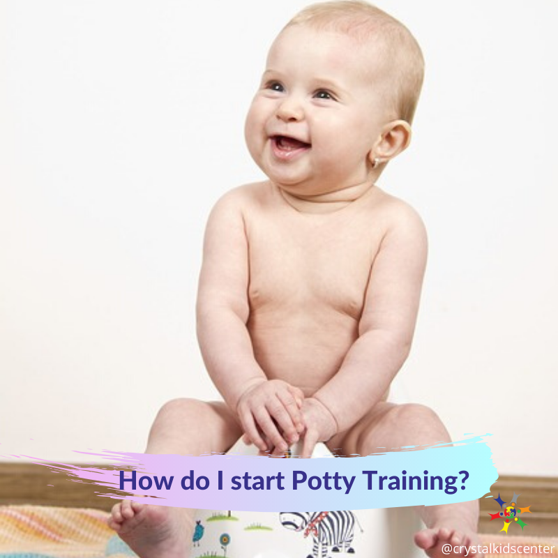 Potty Training 101