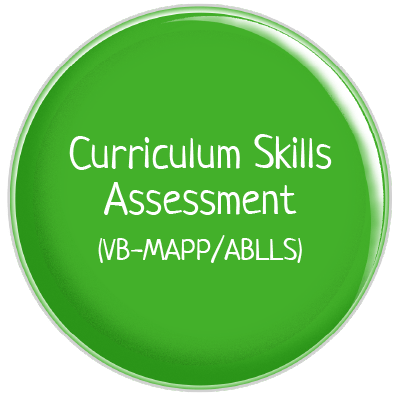 Curriculum Skills Assessment